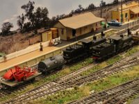 IMG 0825  19 class 0-6-0 locomotive, with 6 wheel tender and attached water gin arrives on a goods train, while 1226 shunts in the yard.